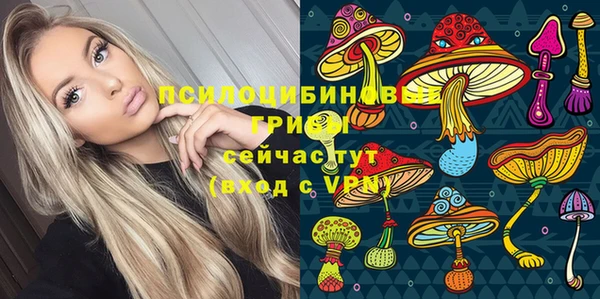 дурь Дмитриев