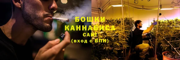 дурь Дмитриев