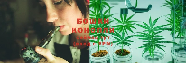 дурь Дмитриев