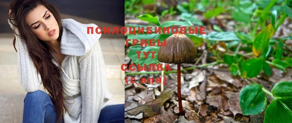 герыч Гусиноозёрск