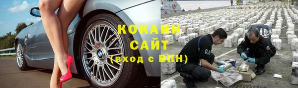дурь Дмитриев